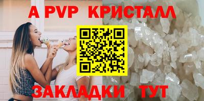 СК Волгодонск
