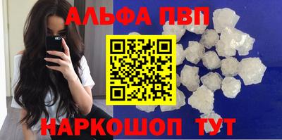 СК Волгодонск