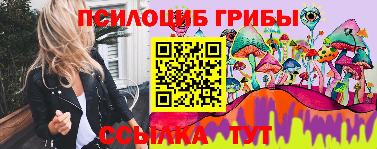Большой Камень  Галлюциногенные грибы Psilocybe  Вход с VPN 